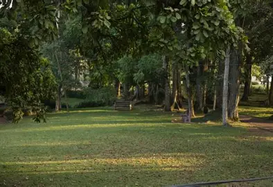 Photograph of Aburi Botanical Gardens